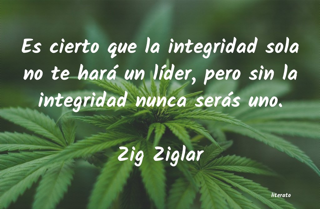 Frases de Zig Ziglar