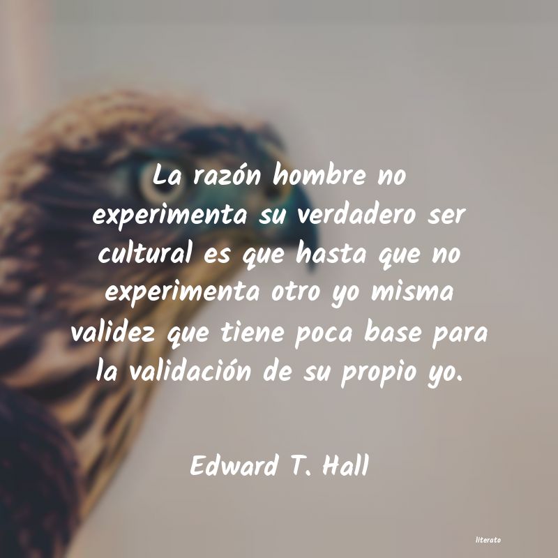 Frases de Edward T. Hall