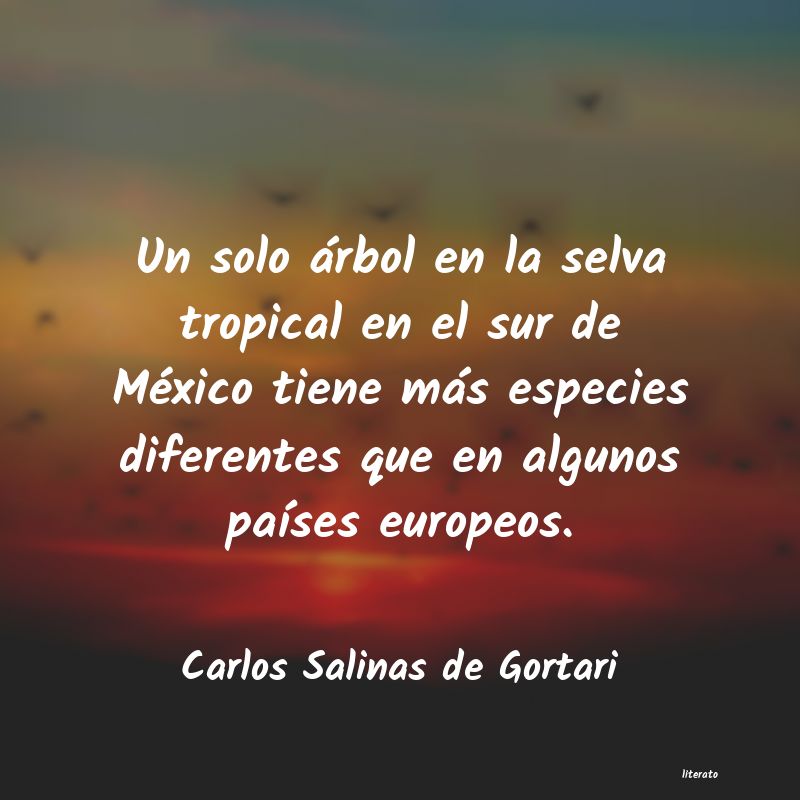 Frases de Carlos Salinas de Gortari