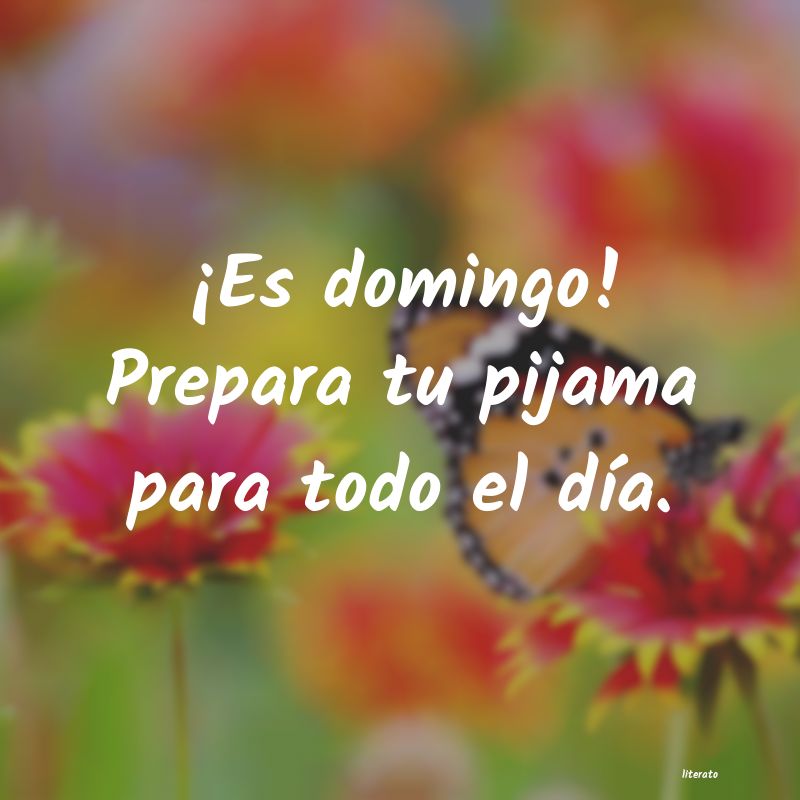 frases