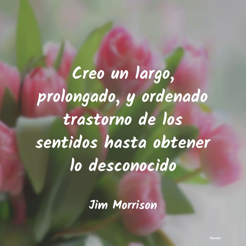 Frases de Jim Morrison