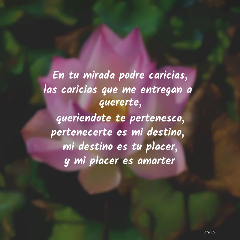 frases