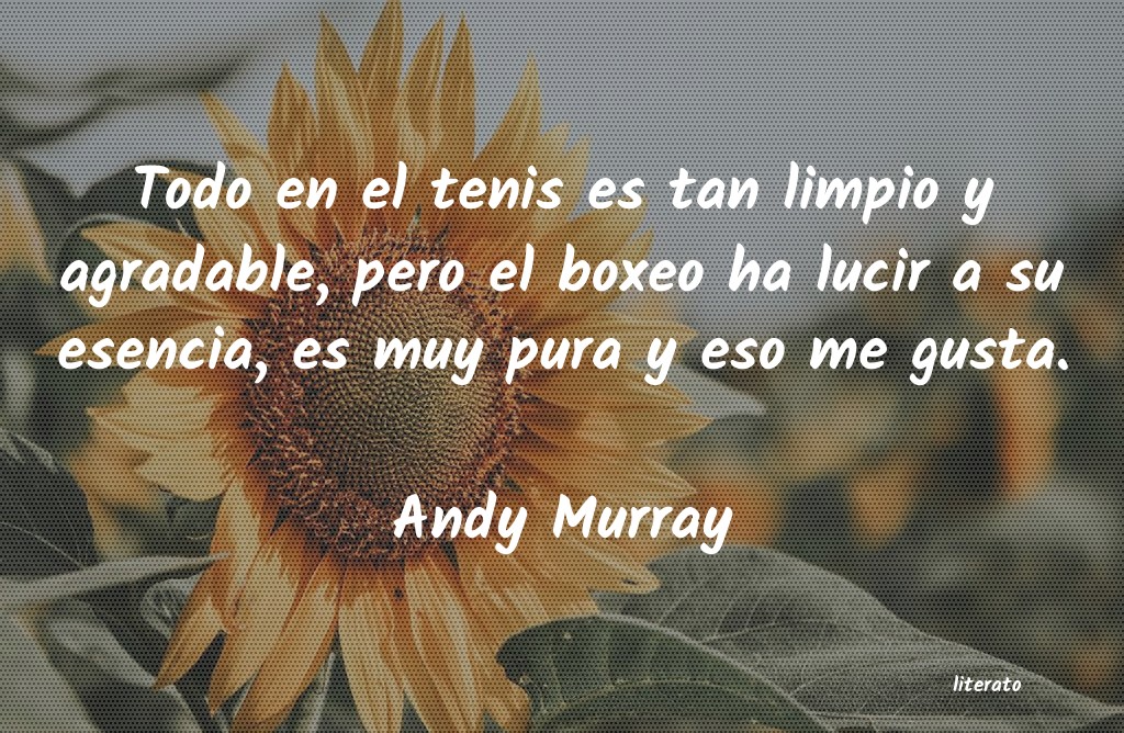 frases de Andy Murray