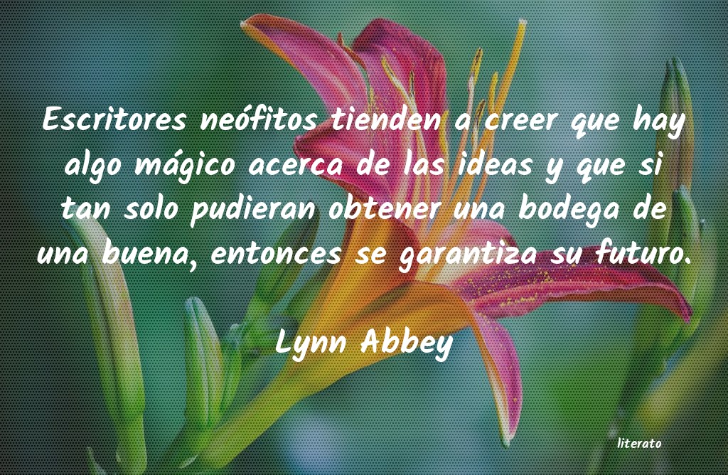 frases de Lynn Abbey