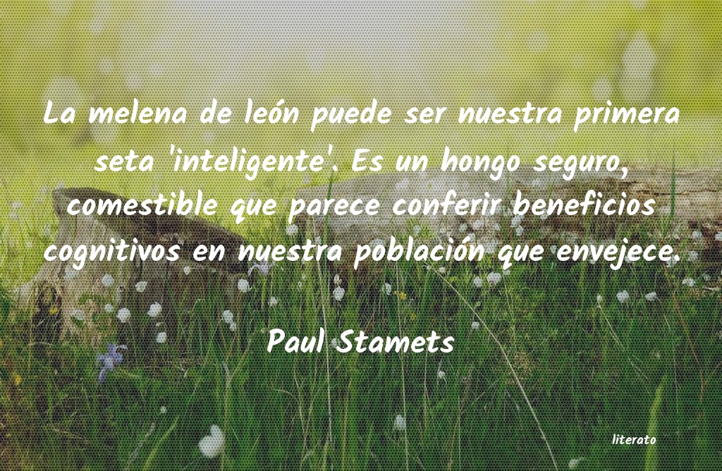 Frases de Paul Stamets