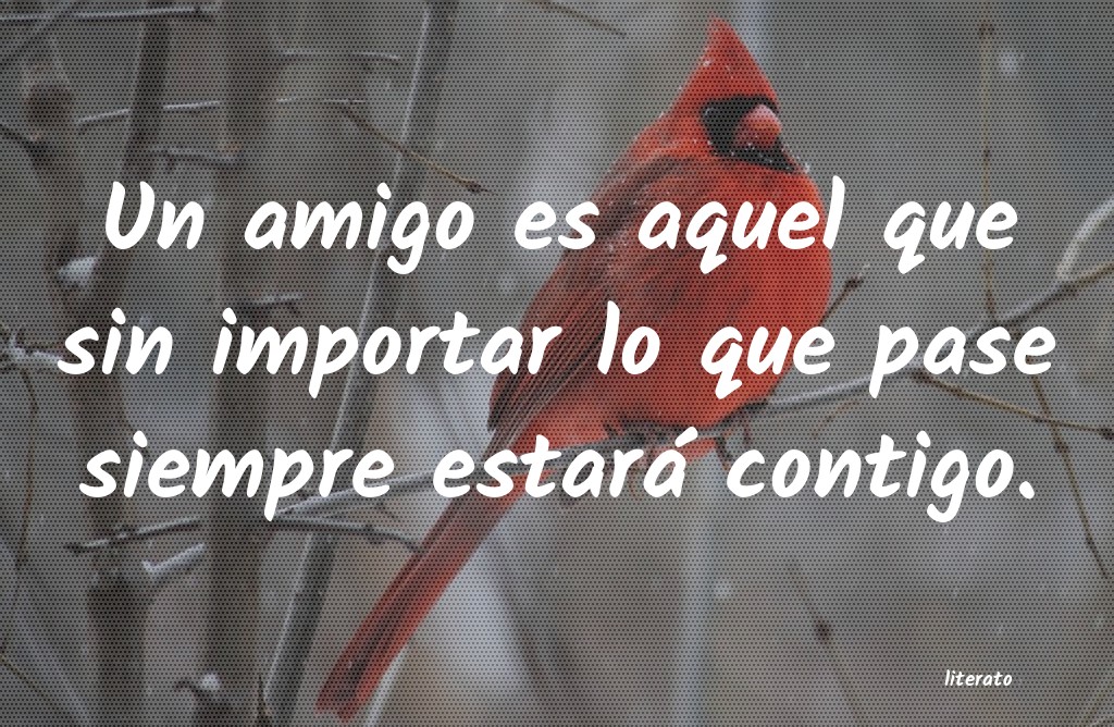 frases