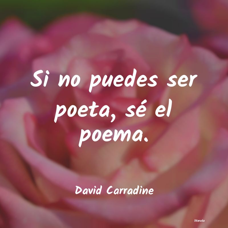 Frases de David Carradine