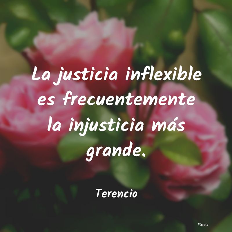 Frases de Terencio