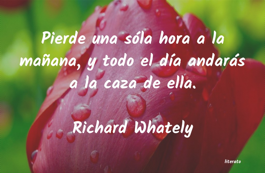 Frases de Richard Whately