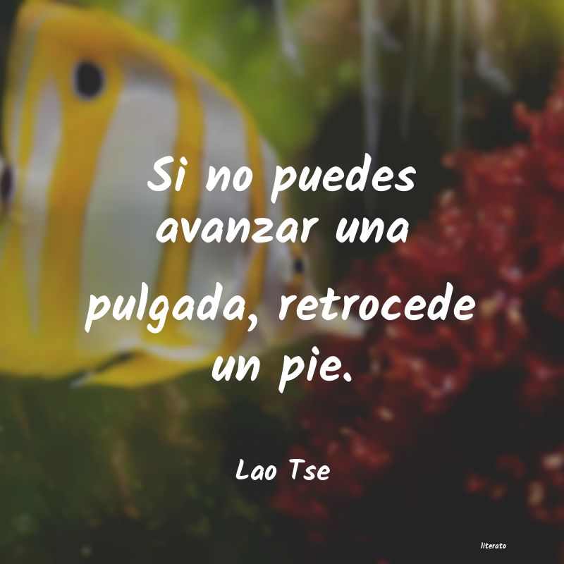 Frases de Lao Tse