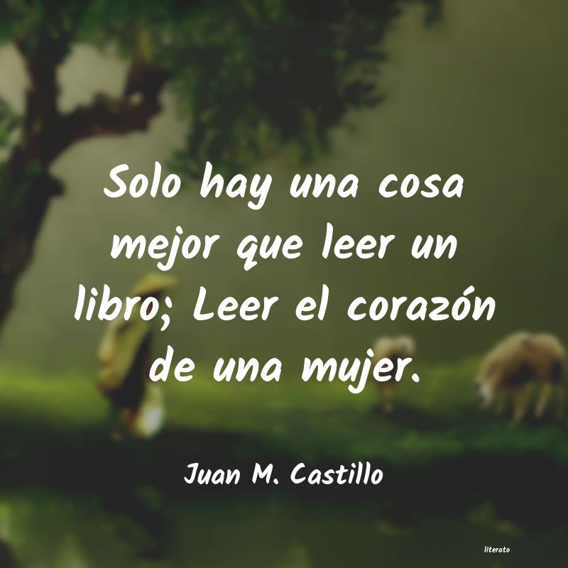 un libro es una cosa