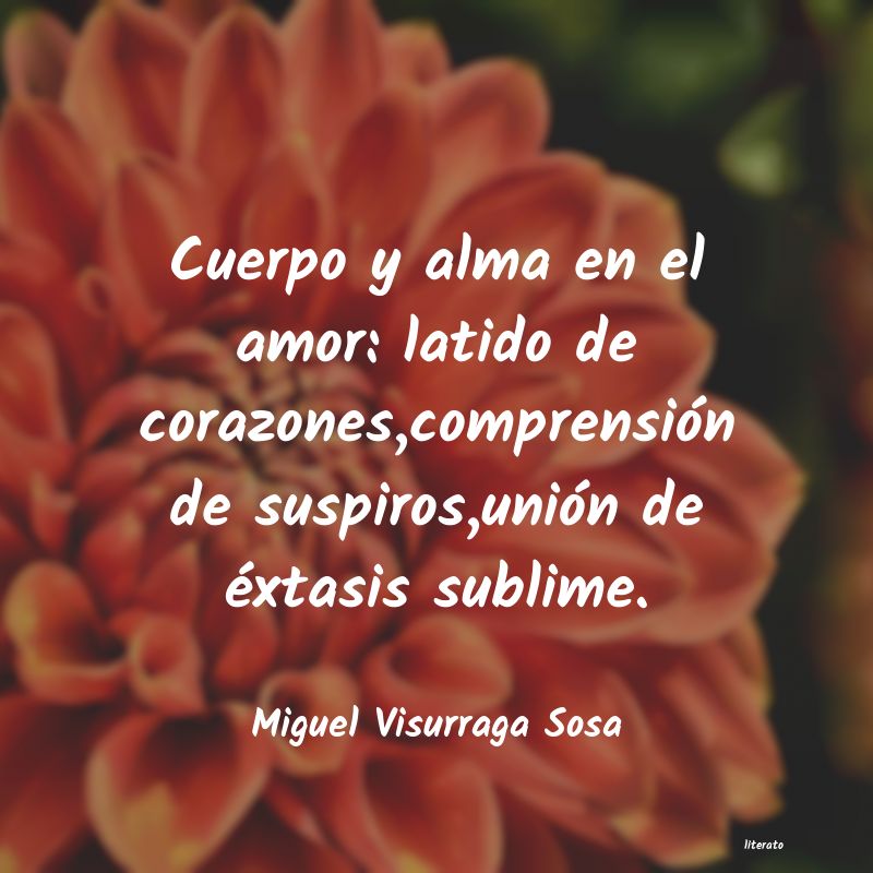 Frases de Miguel Visurraga Sosa