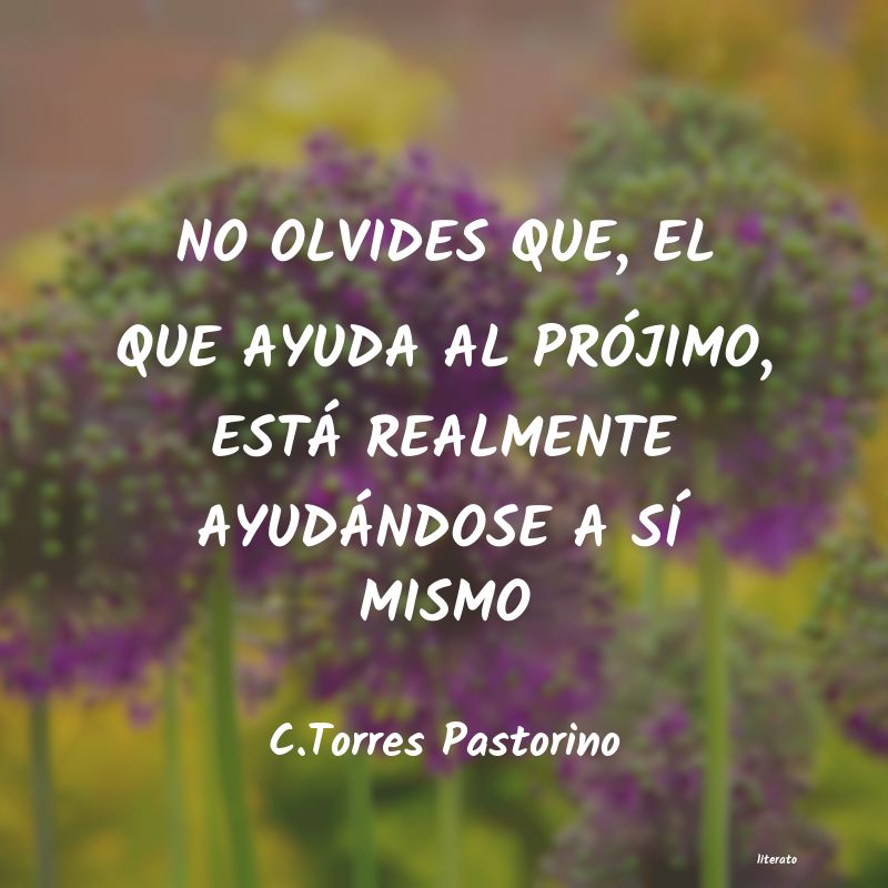 Frases de C.Torres Pastorino