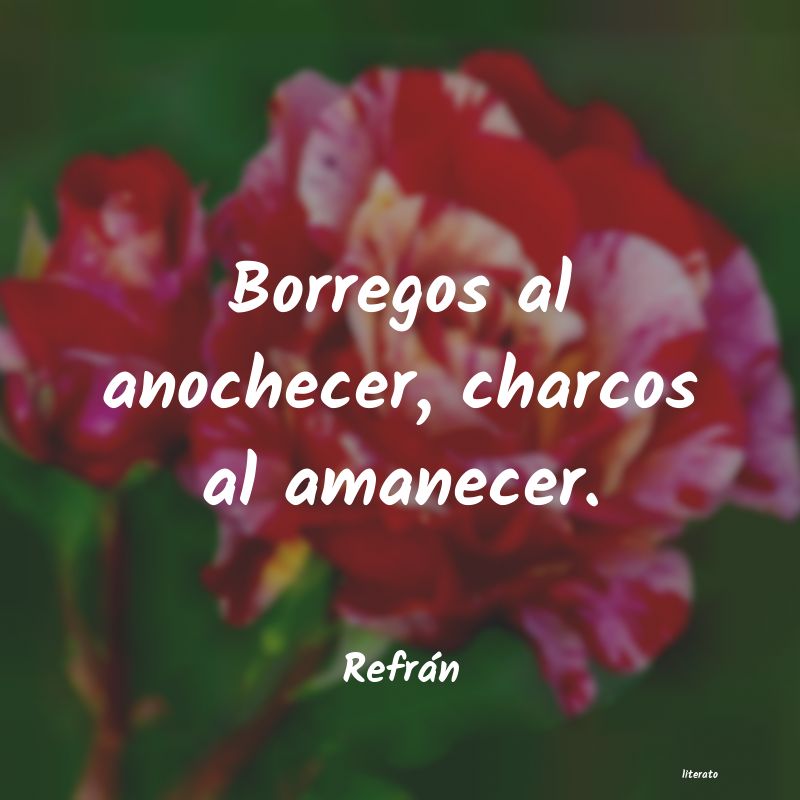 frases de RefrÃ¡n
