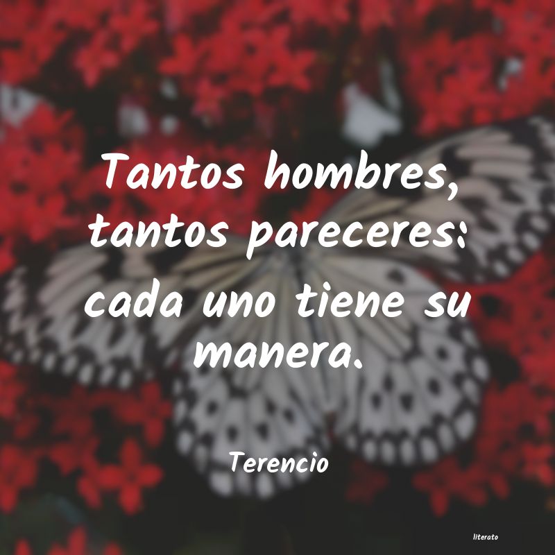 Frases de Terencio