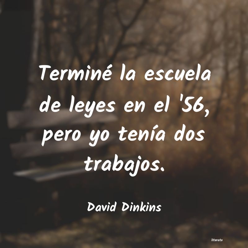 Frases de David Dinkins