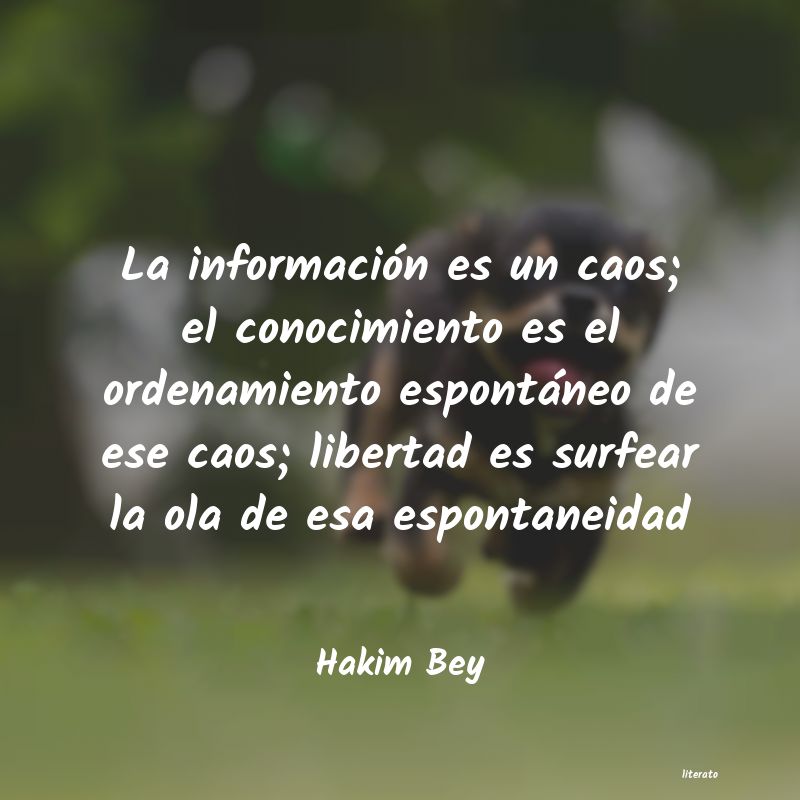 Frases de Hakim Bey