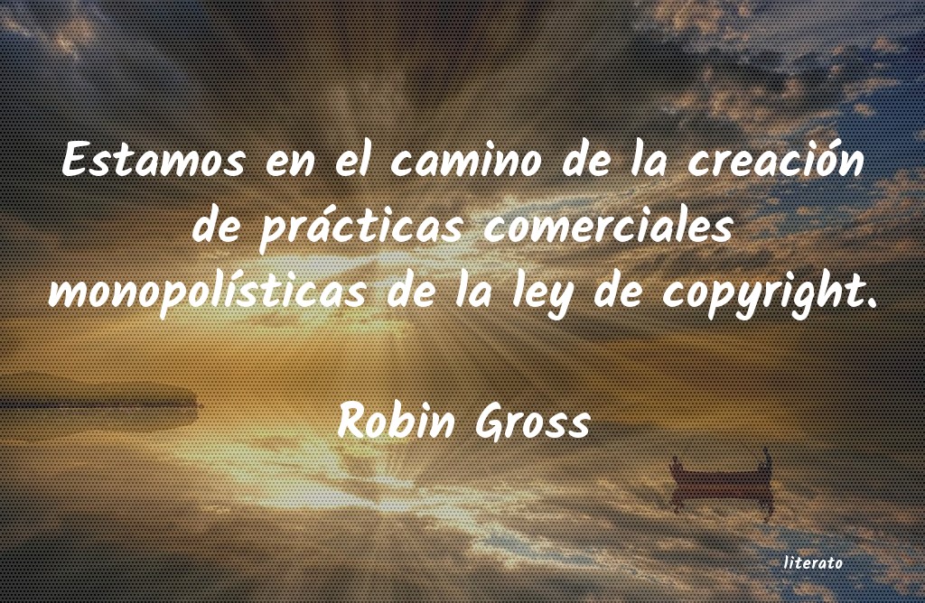 Frases de Robin Gross