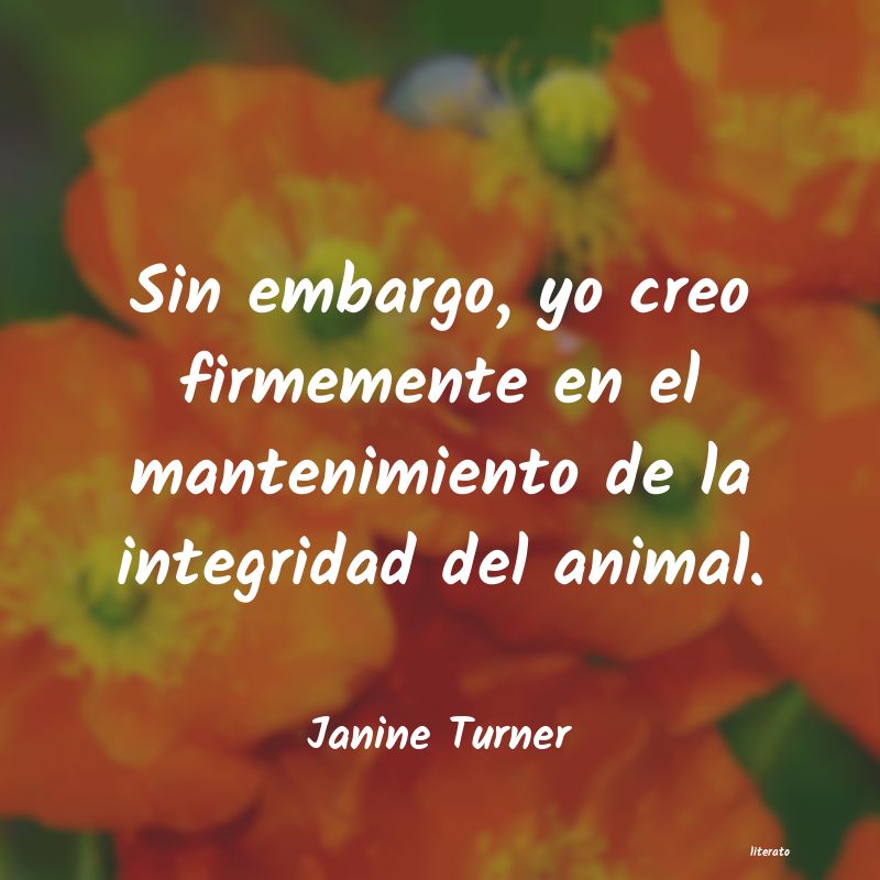 frases de Janine Turner