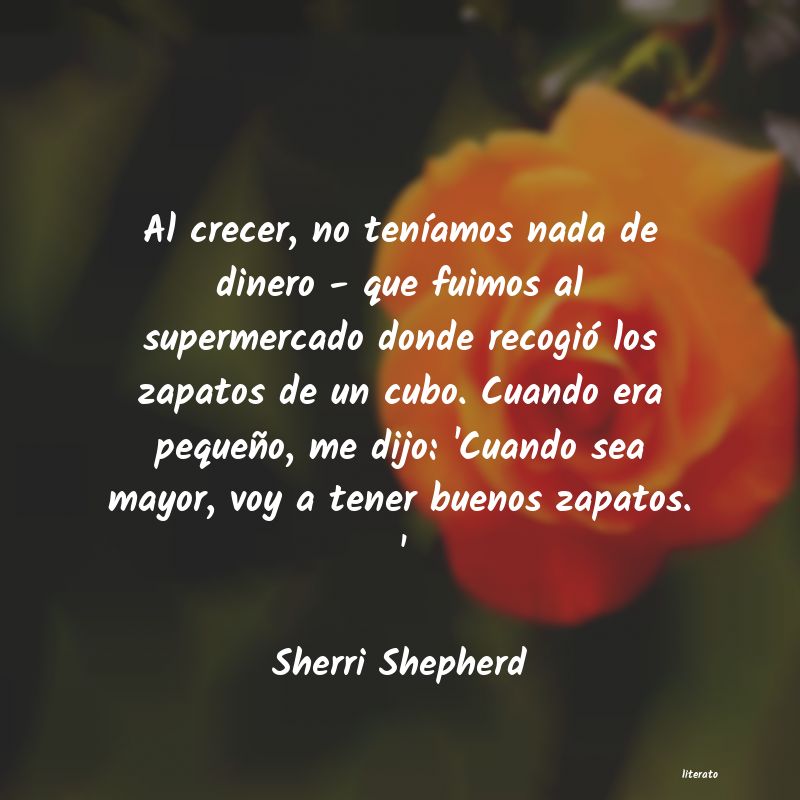 frases de Sherri Shepherd