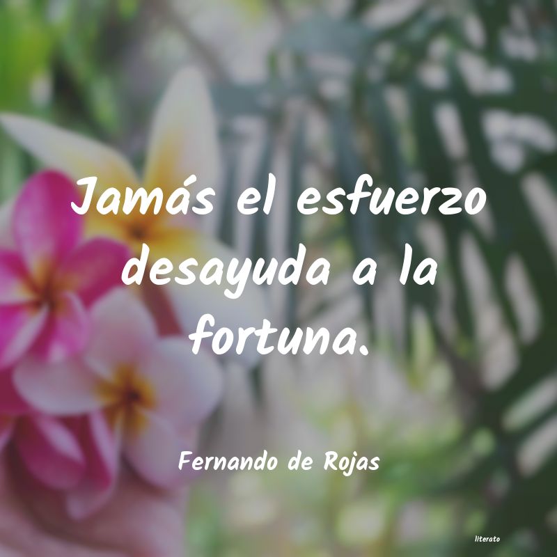 frases de Fernando de Rojas