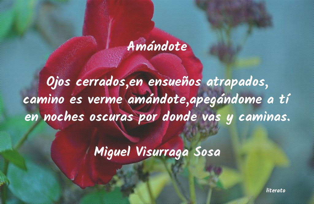 frases de Miguel Visurraga Sosa