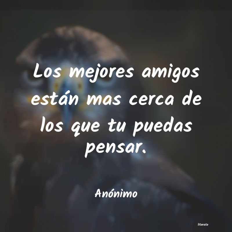 frases