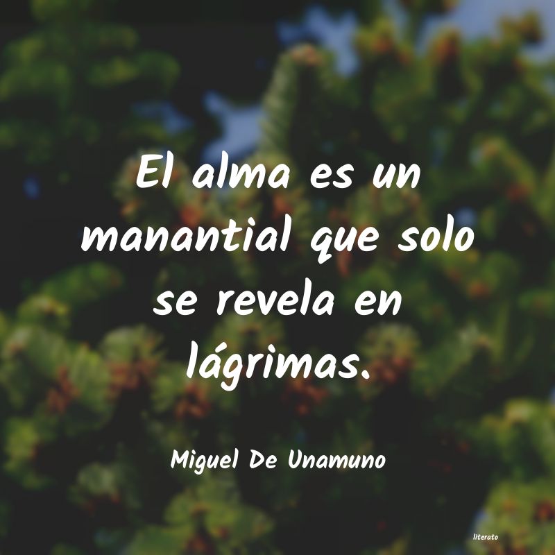 Frases de Miguel De Unamuno