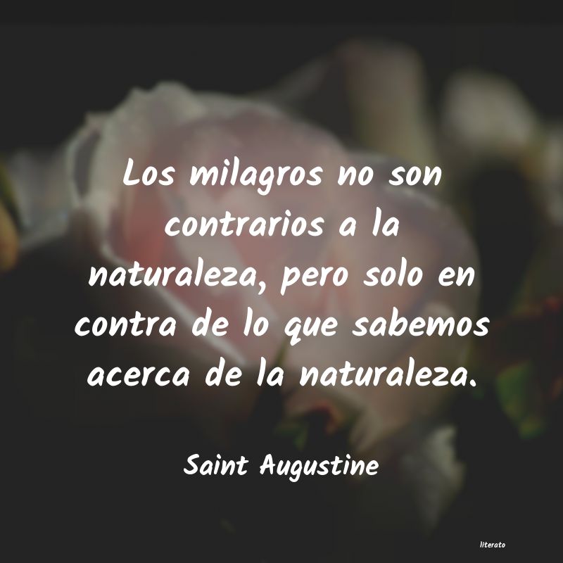 frases de Saint Augustine