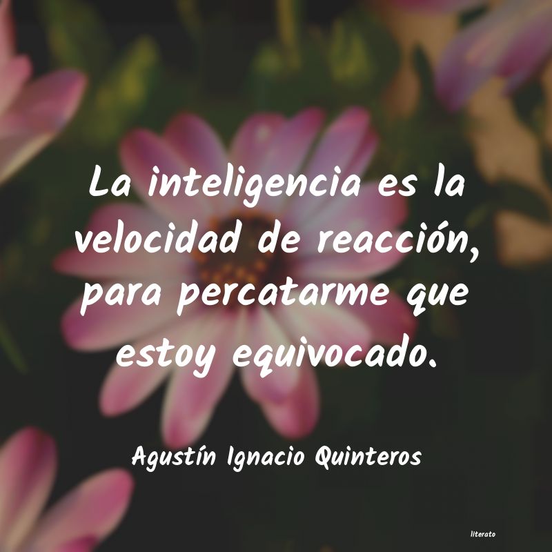 Frases de Agustín Ignacio Quinteros