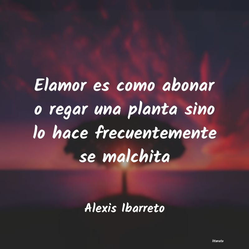 frases de Alexis Ibarreto