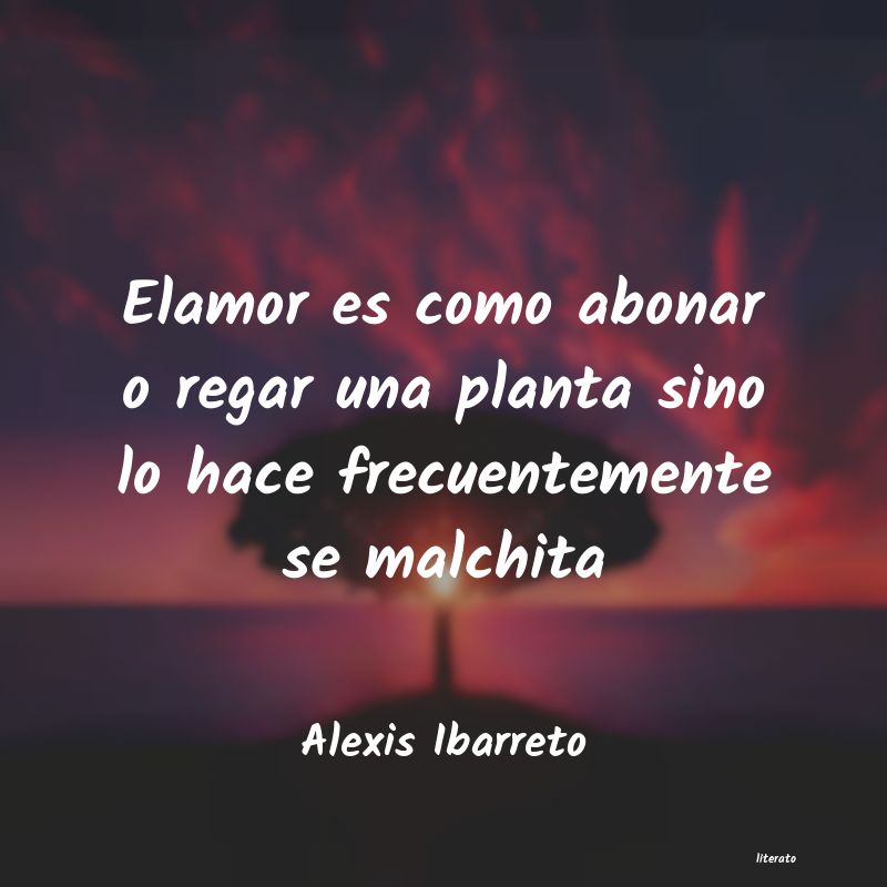 Frases de Alexis Ibarreto