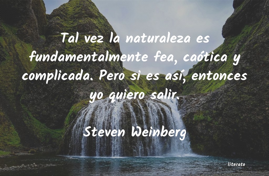 frases de Steven Weinberg