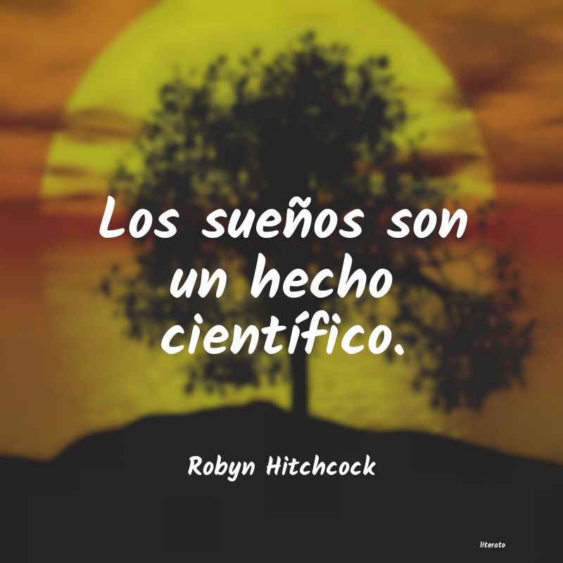 Frases de Robyn Hitchcock