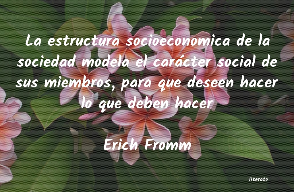 Frases de Erich Fromm