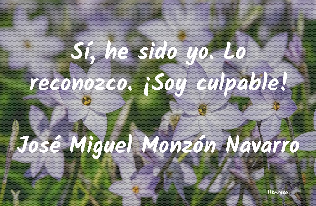 Frases de José Miguel Monzón Navarro