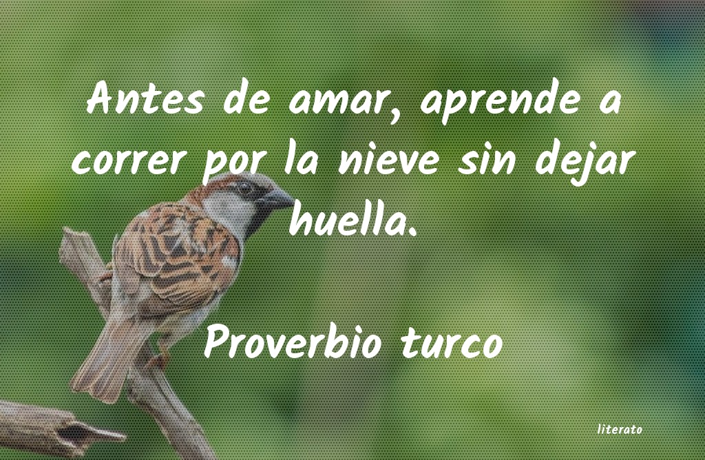 Frases de Proverbio turco