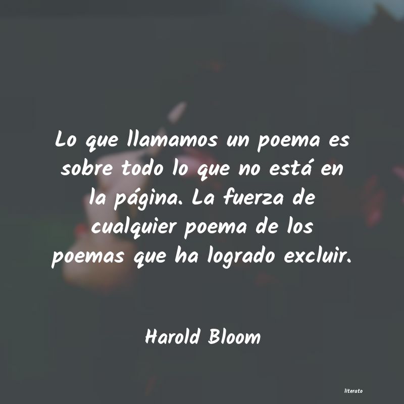 Frases de Harold Bloom