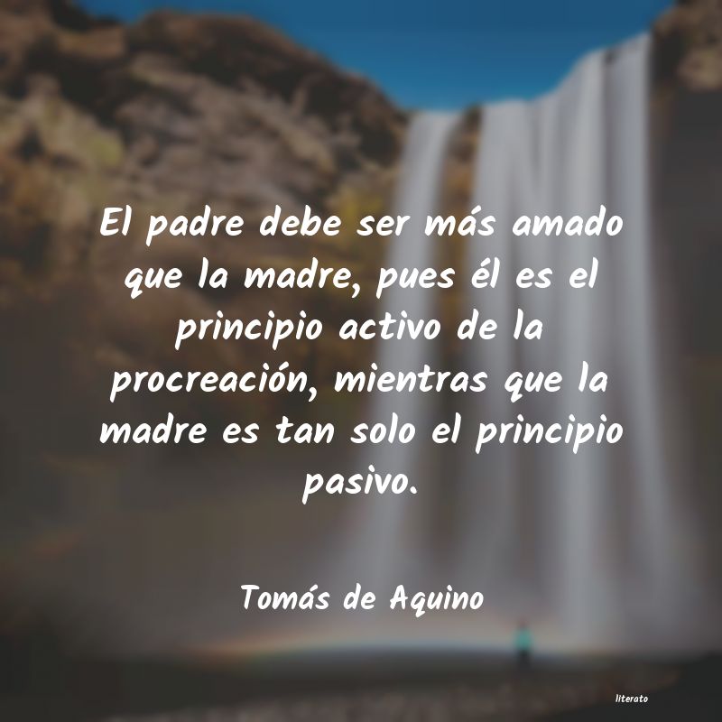 Frases de Tomás de Aquino