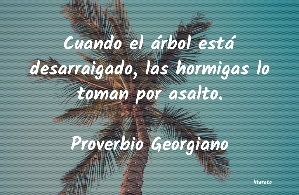 Frases de Proverbio Georgiano