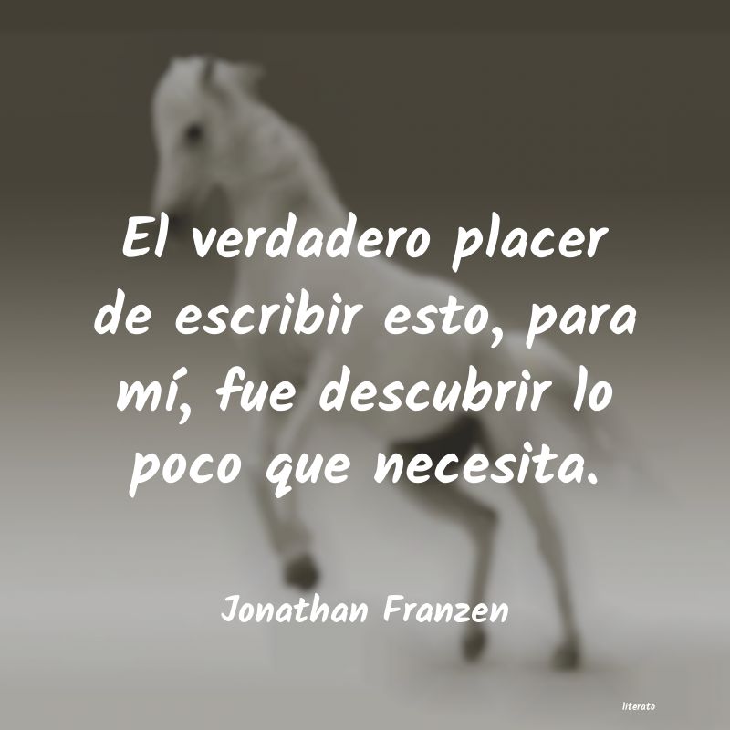 Frases de Jonathan Franzen