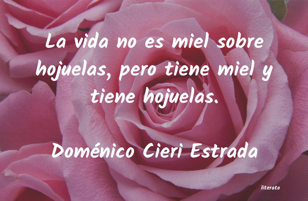 cieri domenico libros