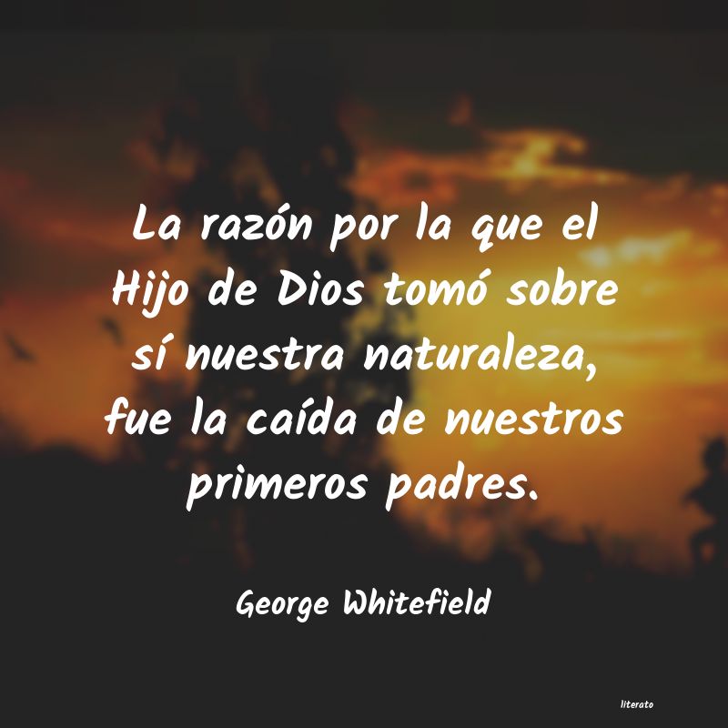 Frases de George Whitefield