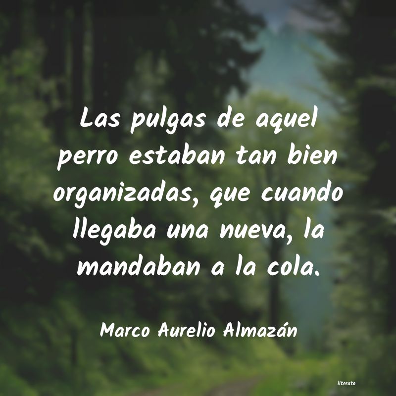 Frases de Marco Aurelio Almazán