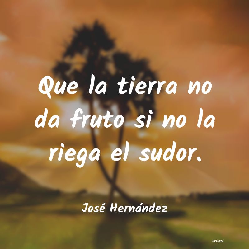 frases de José Hernández