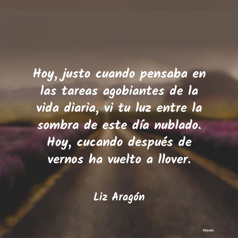 Frases de Liz Aragón