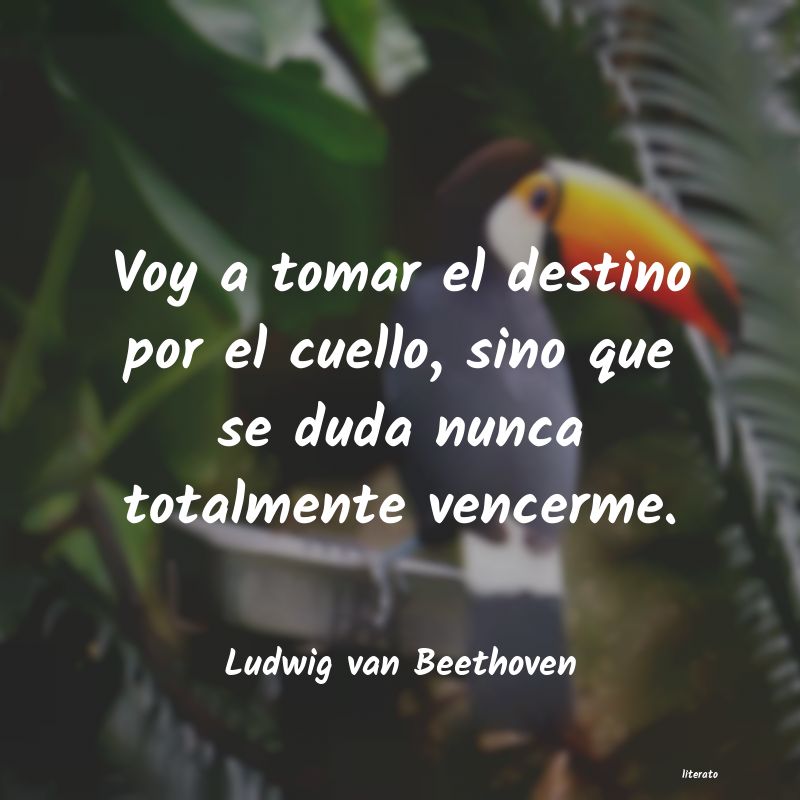 frases de Ludwig van Beethoven