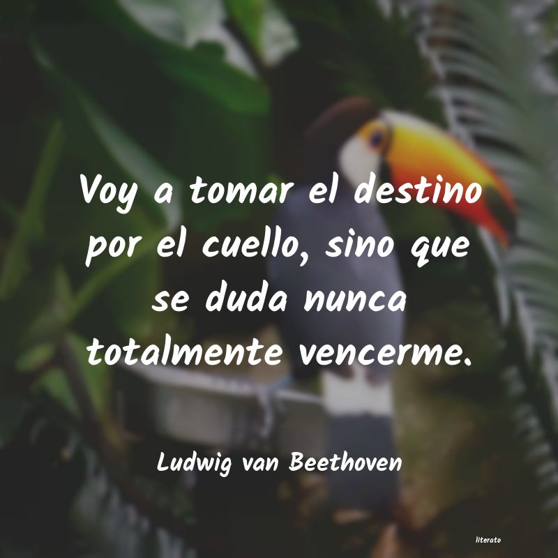 Frases de Ludwig van Beethoven