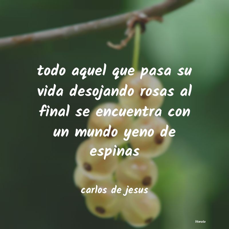 frases de carlos de jesus