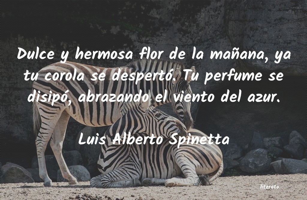 Frases de Luis Alberto Spinetta